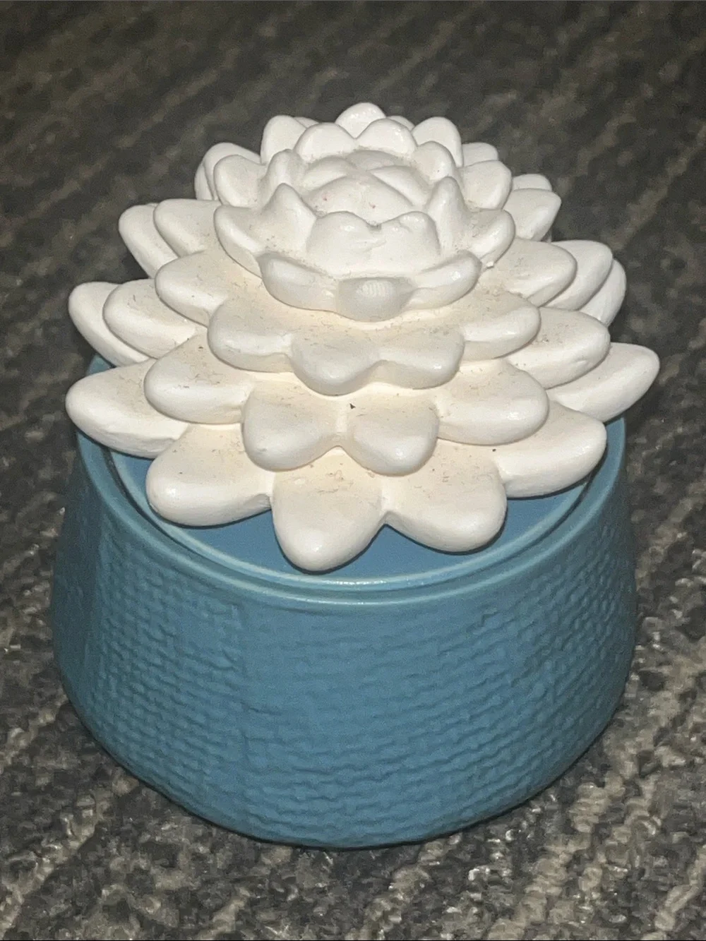 Airome’ porcelain succulent passive oil diffuser set of 2